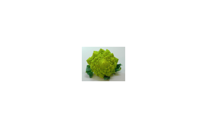 最美的蔬菜--按照分形算法成长！