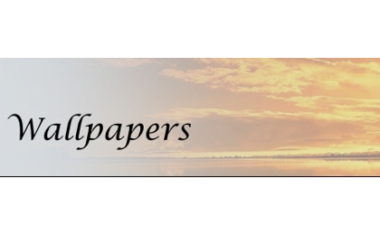 ��������ֽ��վ Quality Wallpapers