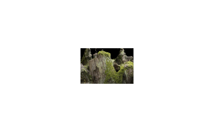 ��Ϸ��SAMOROST