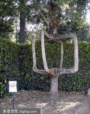 Unique Trees[��,������ô��di]