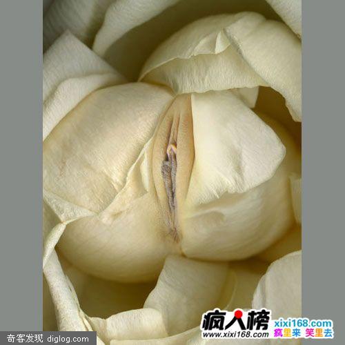 �ǳ���Ů����ֳ���Ļ���ȫ�����Ҷ�������˼��