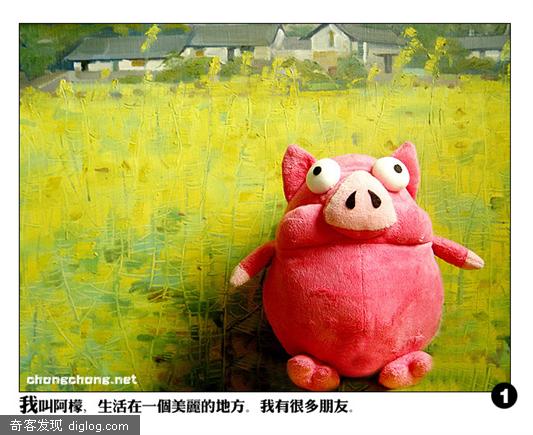 小猪的生活意见