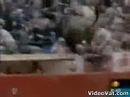 YouTube - bull jumps crowd