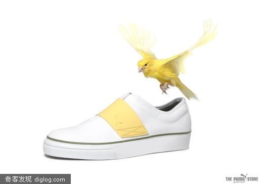 [Ұ��]PUMAϵ�к���