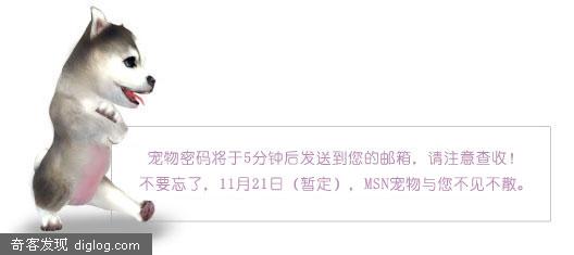 “MSN宠物”新鲜出炉,想要的快申请!!!!!