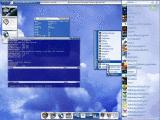 5大X-Window软件 － 疯狂的Linux桌面