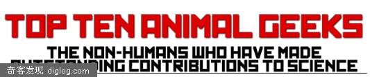Top ten animal geeks - Crave at CNET.co.uk