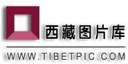 西藏图片库