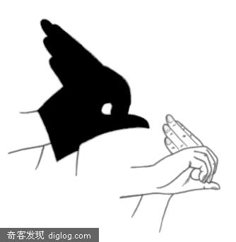 手影
