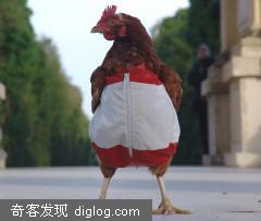 雄纠纠，气昂昂，俺们也穿上马甲啦。