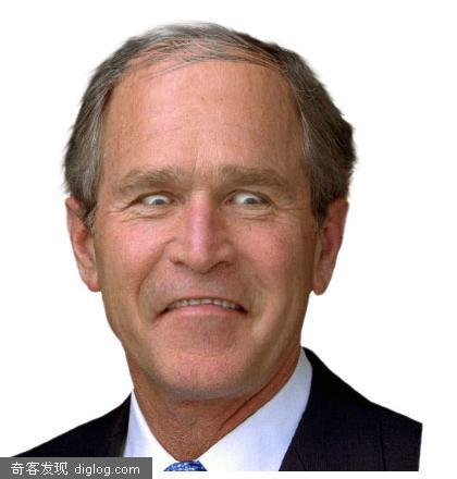 Build a better Bush : ��㲼ʲ��