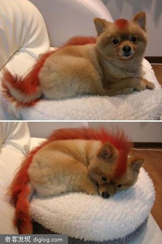 firefoxͼ�������