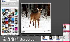 Flickrר���������flappr