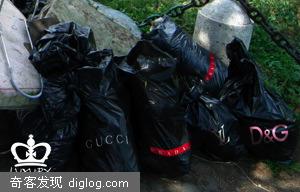 Luxury Garbage 豪华垃圾