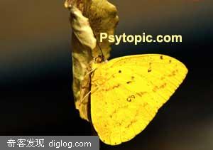 ��ʹ���ие����֣�������֧����-���� - Psychology Express