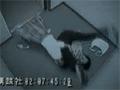 一男子欲在电梯里抢包被少女悍然制服[视频]
