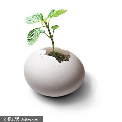 [练习]设计者们的达芬奇鸡蛋 - by B.H
