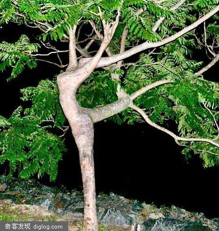 Nature is sexy��