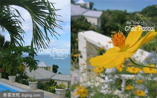 -Caribbean��ò��Chez Pascal�͹�-