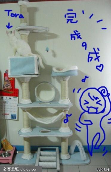 IRIS的頂天貓樹,高级猫房屋哦~