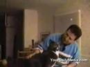 YouTube - Talking Cats(��˵����è)