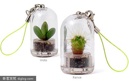 Pet Trees：养棵植物在你的口袋里