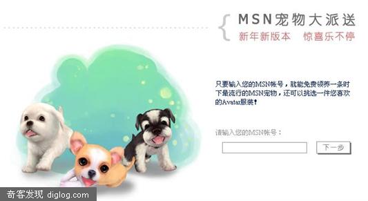 MSN���������!