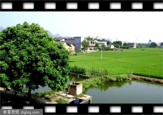 南方的秋天 - 摄影论坛_曲谱分享