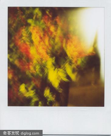 һ��Polaroid��blog network