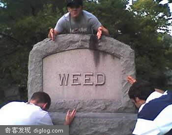 12个胡闹的墓石