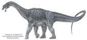 阿根廷发现巨型恐龙化石