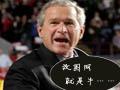 美国总统布什制作的牛贴图片 - 改图网||图片在线制作