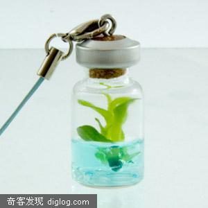 另类手机饰品 瓶中花园