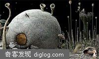 非常经典的Flash游戏！