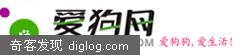 爱狗网-爱狗狗,爱生活