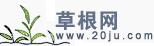 草根网的草根逻辑