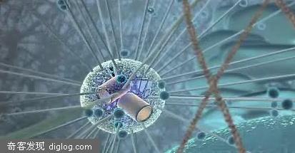 The  inner life of  the cell