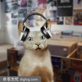 暴笑组图：上班时什么人听什么音乐！
