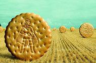 » ����ı����Ƿ����ոLU biscuits ������