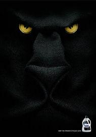 » 动物凶猛Perlana Black Magic. Animals 酷辣客