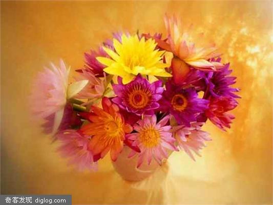 �Ҹ���ʲô������ǧ����𰸣�����Ϊ��һ�ִ������⣿
