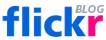 那只Flickr狗狗死了