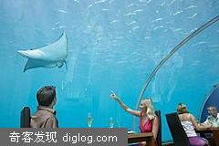 » ˮ�²���Underwater restaurant ������