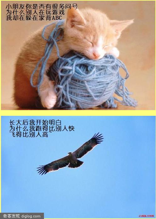 祝天下所有的母亲，母亲节快乐！