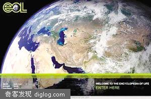 物种  收录人们已知地球全部物种全部信息的网站第一批网页已经完成