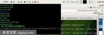 Ubuntu:��װ���������ն�