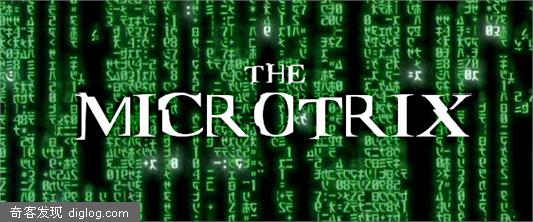 The Microtrix