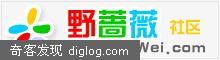 一个偷窥别人的网页