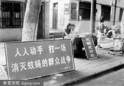 洛阳鼓励居民灭苍蝇 打死一只奖励五毛 :)