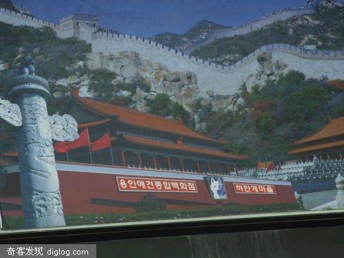 怒了！彻底的怒了――不想让韩国人骂狗的进来！是中国人都进来